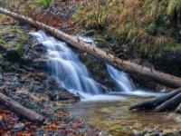 Ein mächtiger Baumstamm liegt quer über einer geteilten Kaskade